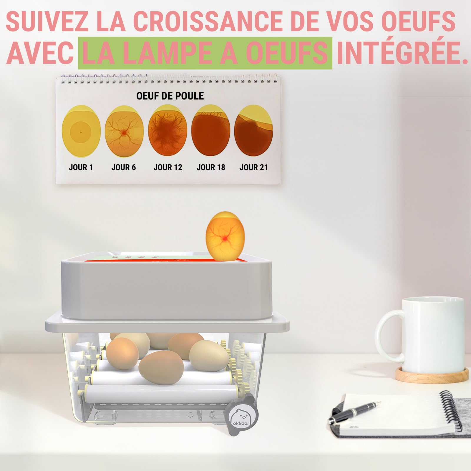 Couveuse Automatique 12 Oeufs Obi-12 - Retournement - Adapté à Tous Âges | Fenêtre d'Observation Intégrée, Suivi du Développement des Embryons, Mousse Isolante Incluse - Orange