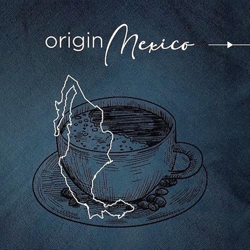 Low Acid Coffee - Organic Coffee - Ground And Whole Beans For French Press, Espresso, Pourover - Non-Gmo - Mold Free - 12 Oz - Single Origin Coffee - Magni Coffee (Ground Light Roast) #TOP4