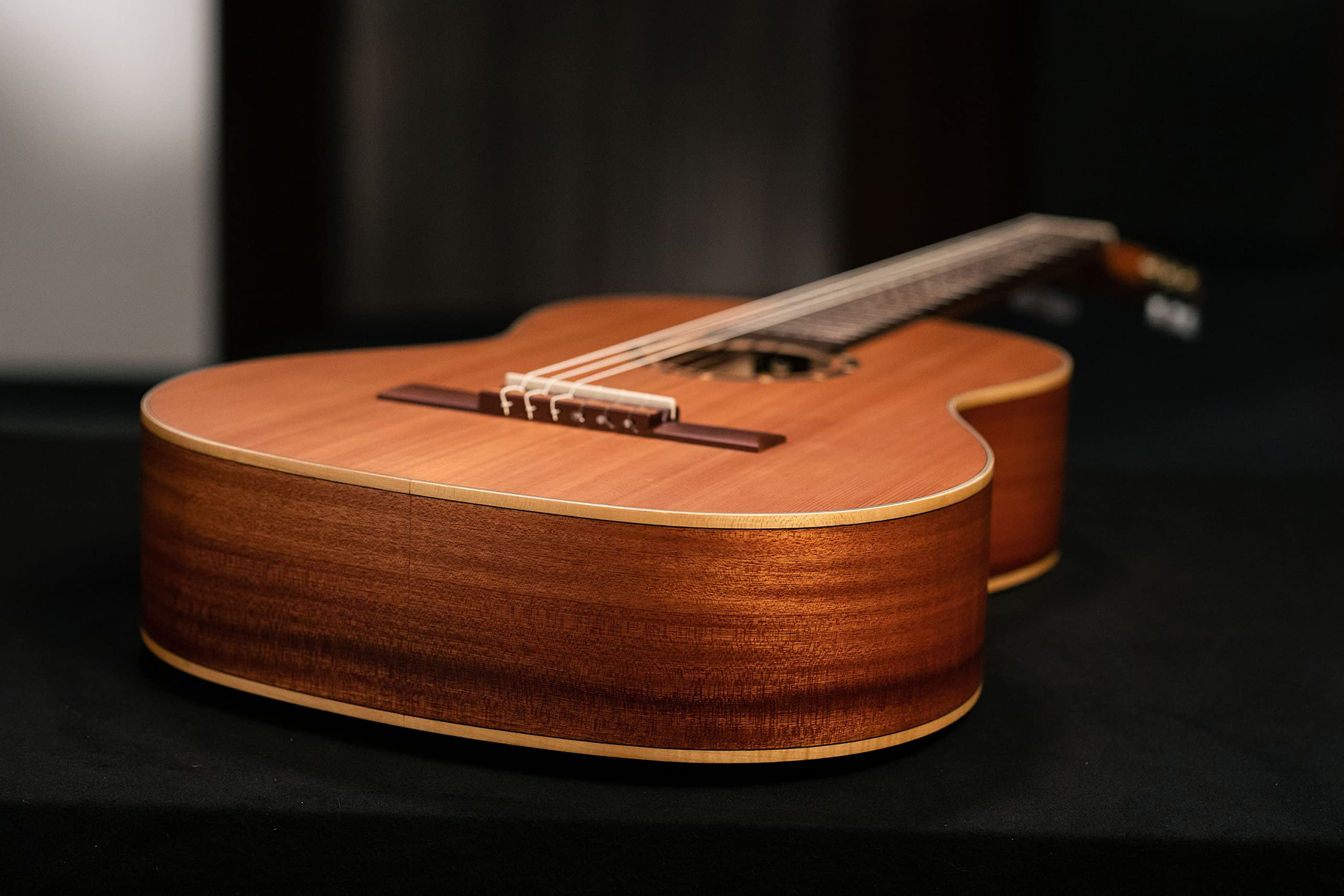 ORTEGA Guitarra Clásica Family Series 4/4 con Funda - NT - Cedro natural, R122