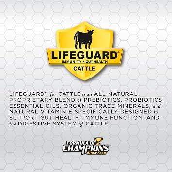 Kalmbach Feeds Formula Of Champions Heifer Developer, 50 Lb