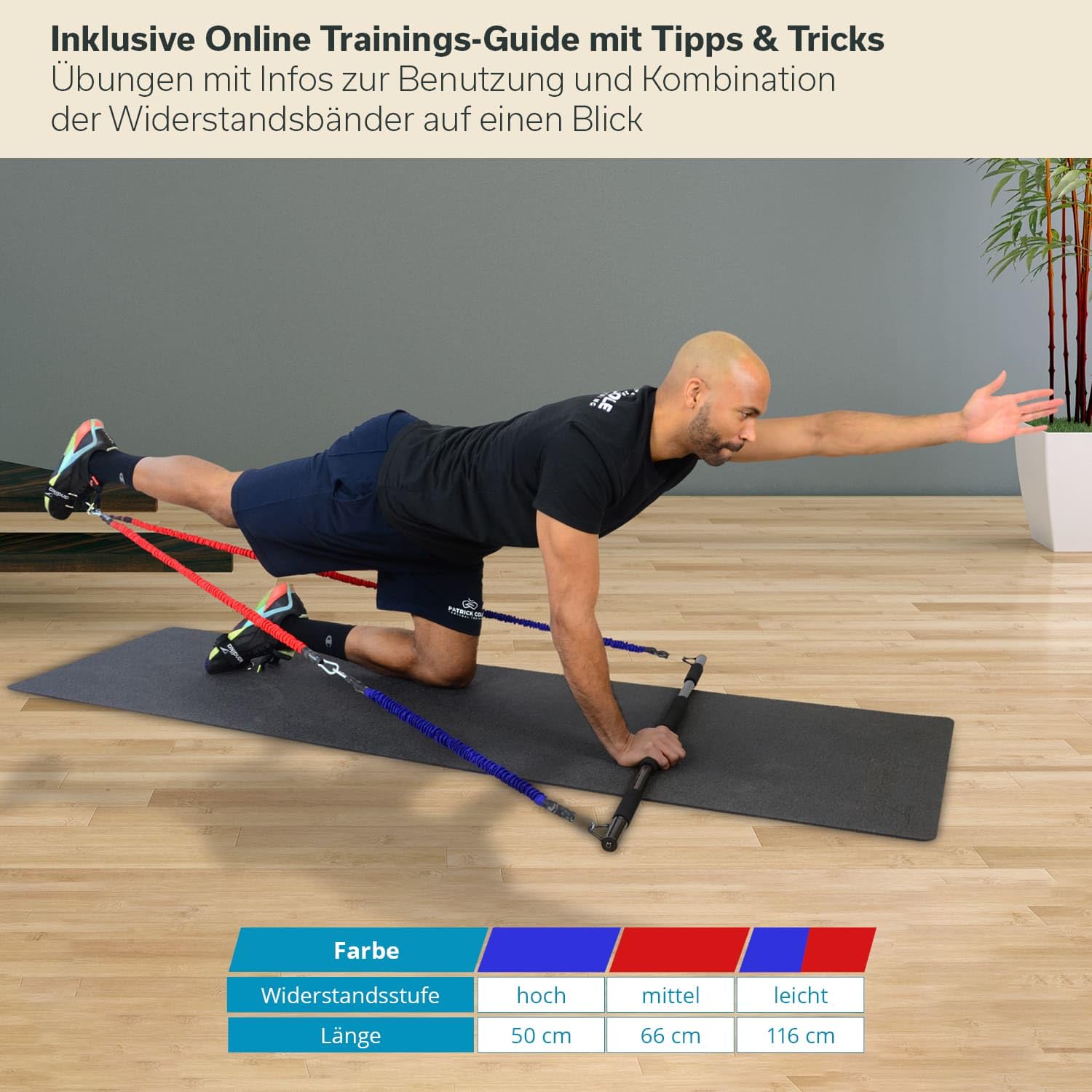 Skandika Multi-Widerstandsbänder mit Stange | Pilates Bar mit Resistance Bands, Krafttraining, 3 Widerstandsstufen, Online Trainingsguide, viel Zubehör, Fitnesstraining, nutzbar mit Nemo IV und V3000