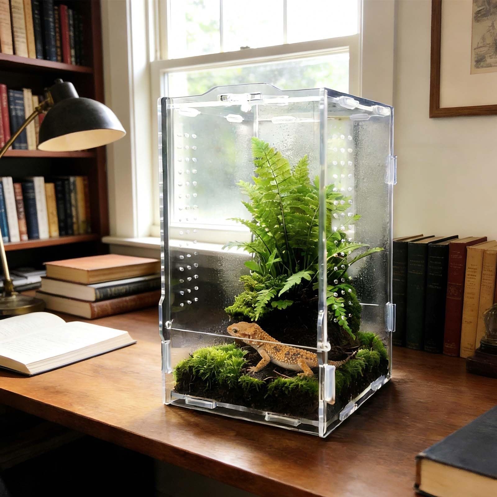 Terrario per rettili, 11x12x20 cm, Serbatoio per rettili, Recinzione in acrilico, Vivarium acrilico trasparente,adatto per contenitori per rettili e anfibi