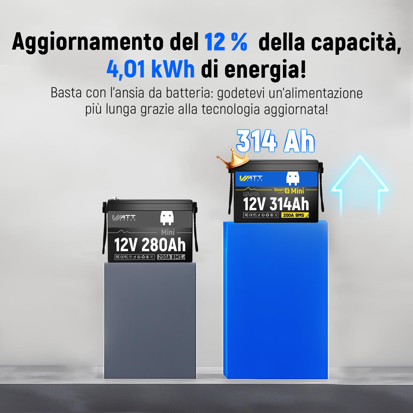 Wattcycle Batteria al Litio LiFePO4 12V 314Ah, 4019Wh, con BMS 200A Integrato, Protezione Bassa Temperatura, per Nautica, Camper, Sistemi Solari e Off-Grid