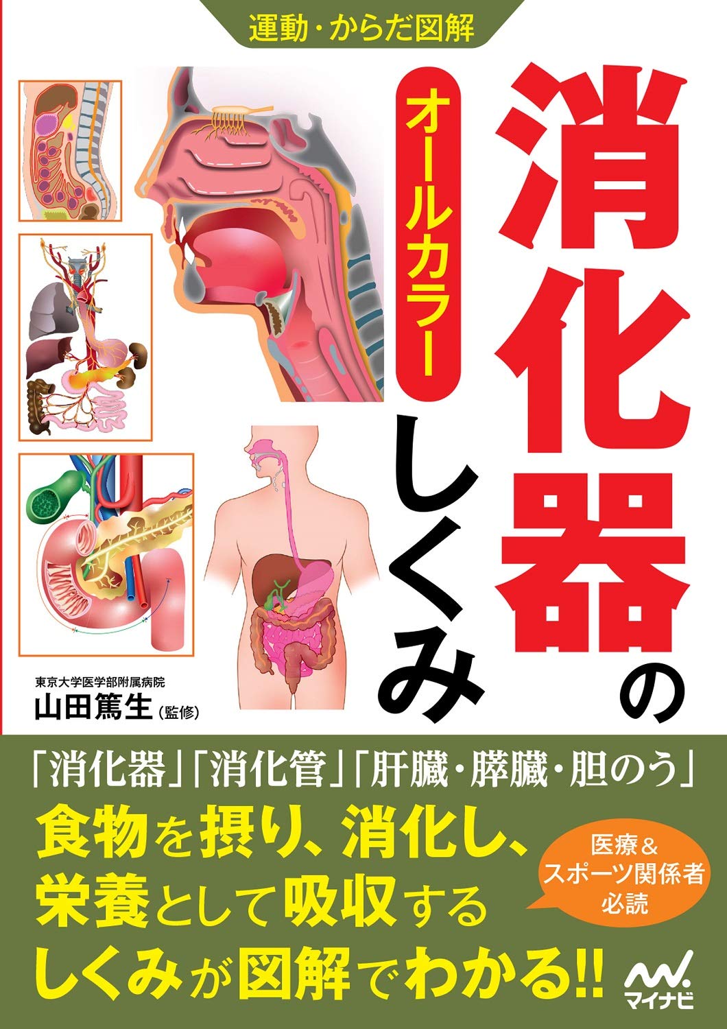 運動・からだ図解 消化器のしくみ | 山田篤生 |本 | 通販 | Amazon