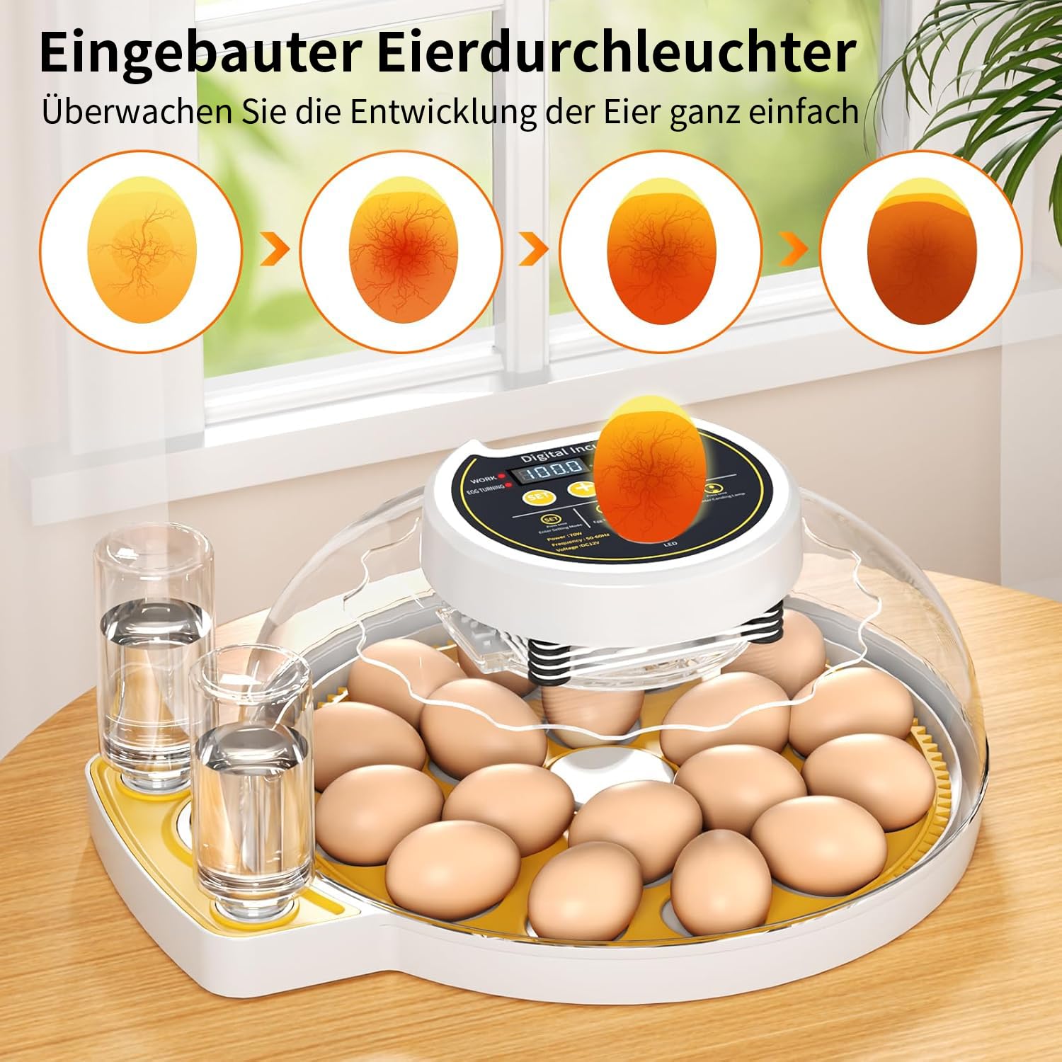 Brutautomat Vollautomatisch, Inkubator Hühner 18-60 Eier für mit Automatischer Temperatur Feuchtigkeitsregelung, Inkubator Brutmaschine für Hühner Wachteln Enten und Geflügel Eierbrüter | Einfach zu bedienen und hohe Schlupfrate, Präzise konstante Tempera