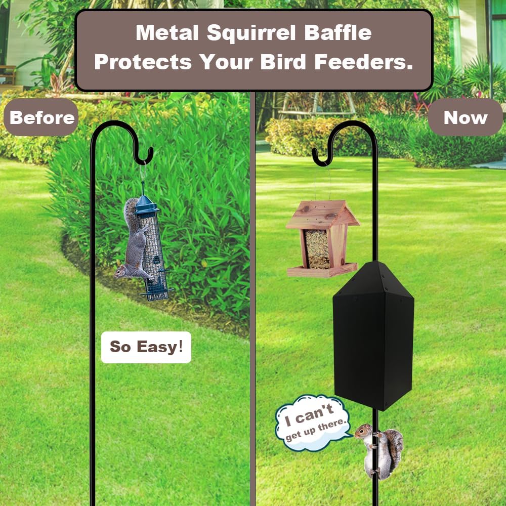 https://m.media-amazon.com/images/I/71HguBZa9lL._AC_SL1000_.jpg