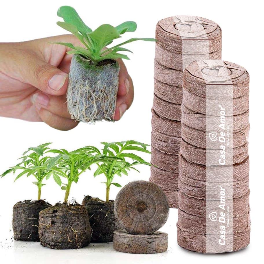 Casa De Amor Coir Seed Germination Kit 45MM for Gardening Seedling Tray (4x4x1.5 cm) (Pack of 100) (B09S6JMLFC) Amazon Price History, Amazon Price Tracker