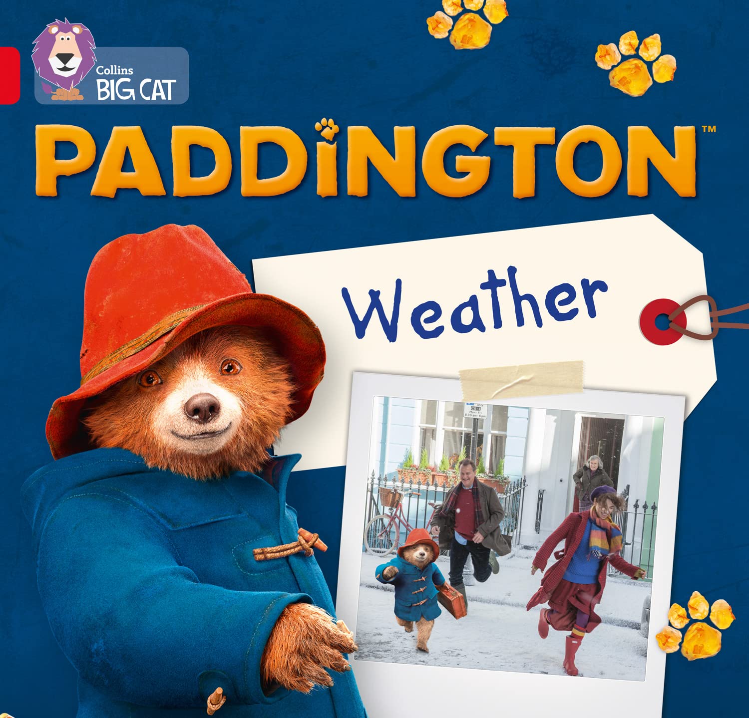 Paddington Weather by Rebecca Adlard PAPERBACK 9780008285869