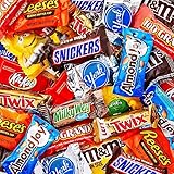 Assorted Variety Pack of Fun Size Chocolate Candy - Individually Wrapped Chocolate Mix for Parties, Gift Bags, and Everyday Treats (2 LB)