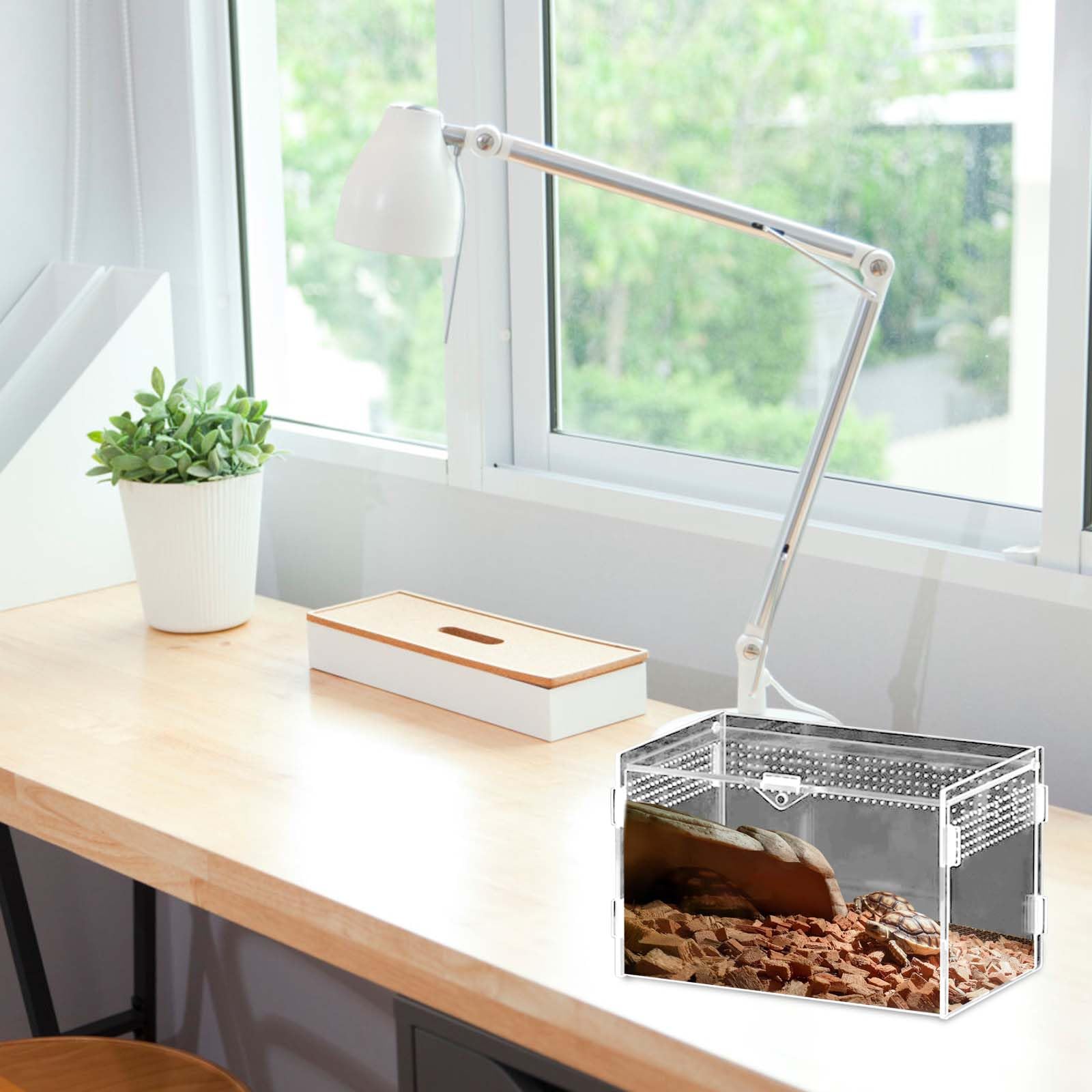 Boîte d'alimentation pour reptiles en acrylique - 20 x 12 x 12 cm - Mini terrarium transparent - Avec tweezer en acier inoxydable - Transparence totale à 360 ° - Pour petits reptiles et araignées