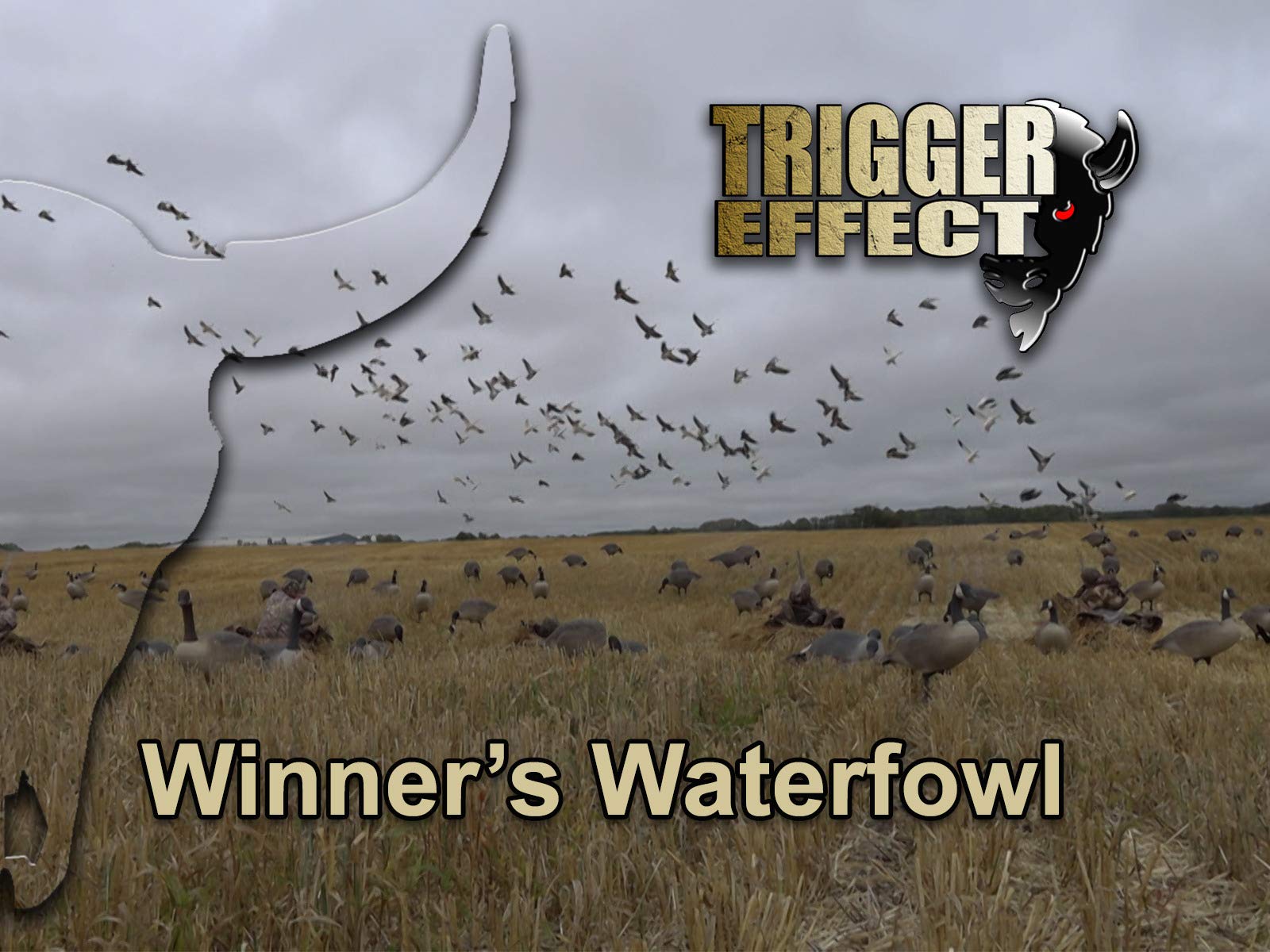 Watch Trigger Effect Prime Video