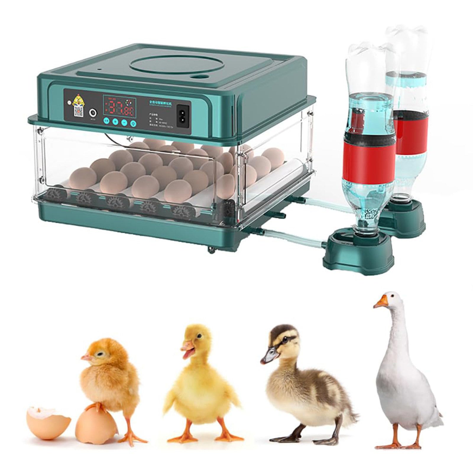Wasd3Pods Professional Egg Incubator - Automatic Turner + Temperature/Humidity Control, Digital Automatic Brooder Chicken, Poultry Hatcher Machine, For Quail/Duck/Chicken/Goose/Bird 24Eggs