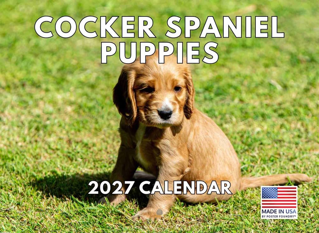 Cocker Spaniel Puppies Calendar 2025 Monthly Wall Calender | American Made In The USA โ image 1
