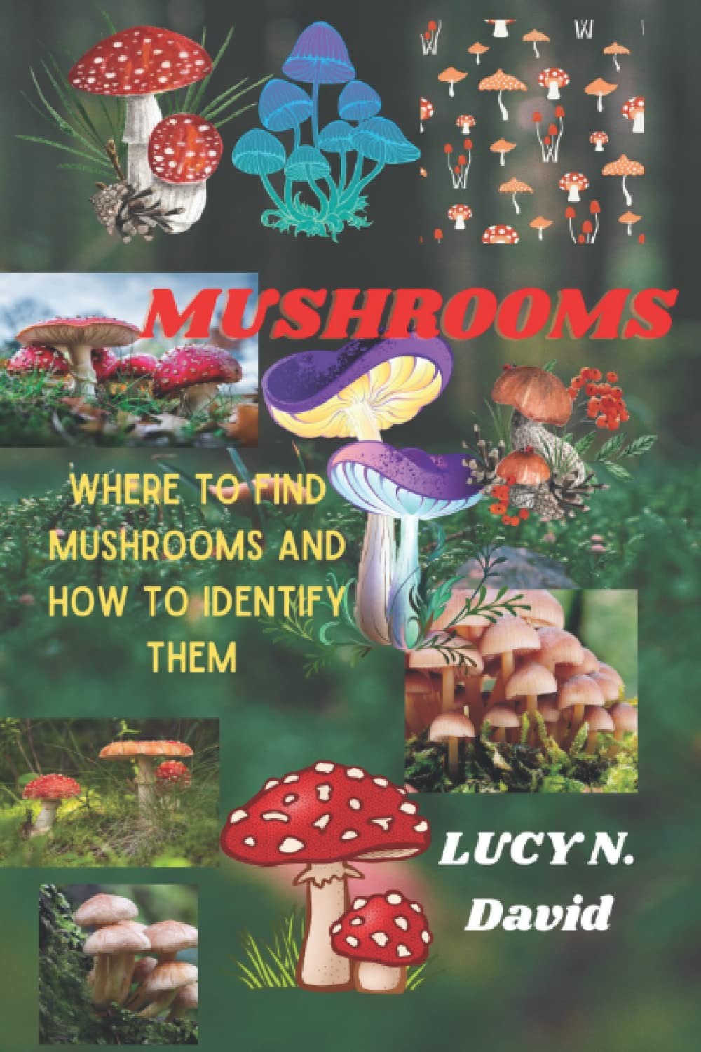 Where to Find Mushrooms And How to Identify Them: A guide to Common Mushroom Identification & five steps to Cook Delicious Spring Mushrooms