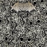 Crushed to Dust [Explicit]