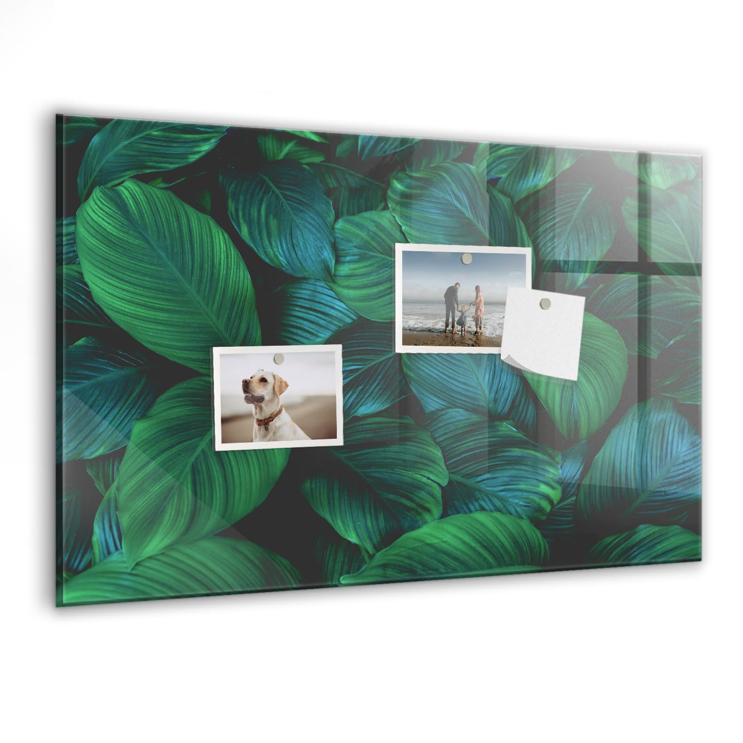 Tableau blanc magnétique en verre de qualité supérieure design - 7