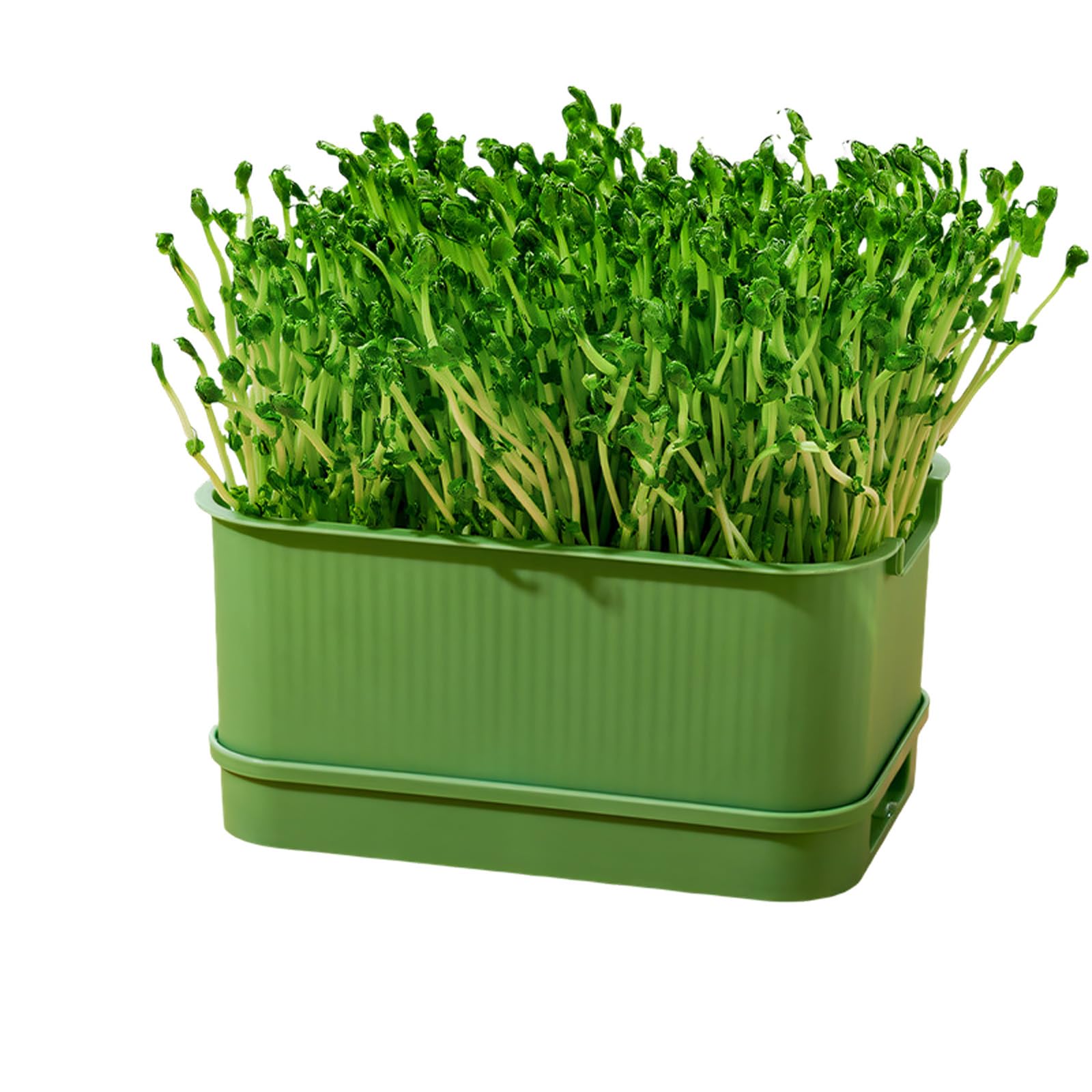 Limtula Bean Sprouts Plates Vegetable Soilless Nursery Trays Seedling Germination Tray Cultivation Seedling Container Greenhouse Sprouts Hydroponic Sprouting Tray