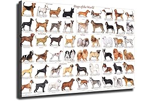 Dog Breeds A-Z Laminated Poster: Exploring the World's Beloved Breeds