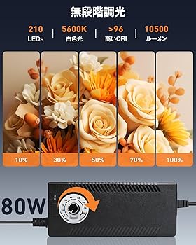 Amazon | DUCLUS 撮影ボックス 80cm 撮影ブース 折りたたみ、Light Box