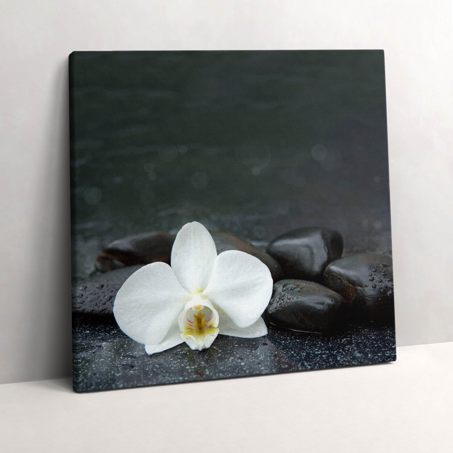 Tableaux 60x60cm Pierres Zen fleurs blanches Wallfluent