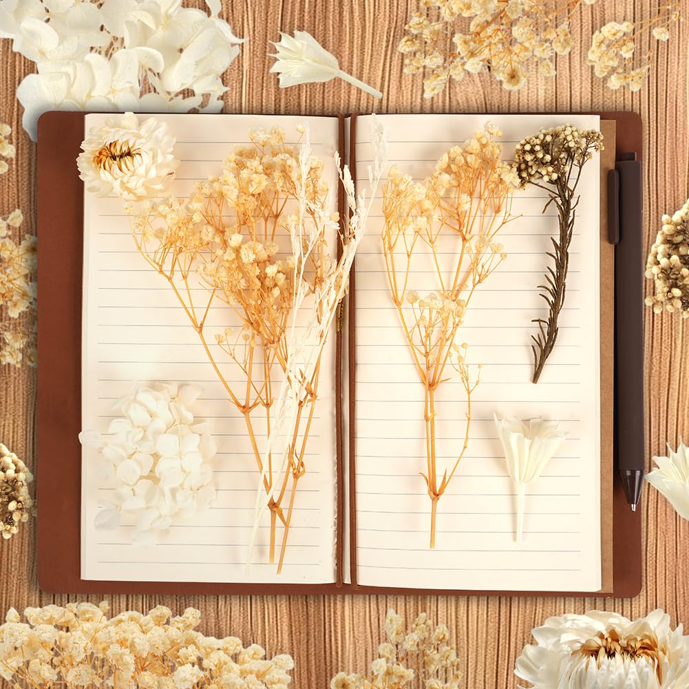 Fiori Secchi Naturali e Pressati per Artigianato, Resina, Scrapbooking, Creazione di Gioielli e Decorazioni Floreali Fai da te