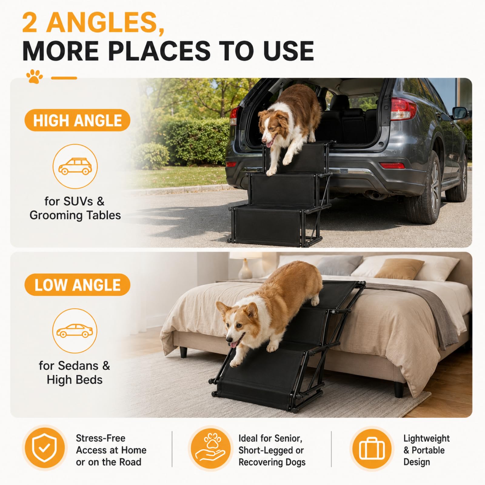 Scala per cani auto a 4 livelli, extra stabile, pieghevole, perfetta per l'entrata, per cani e cani, per cani