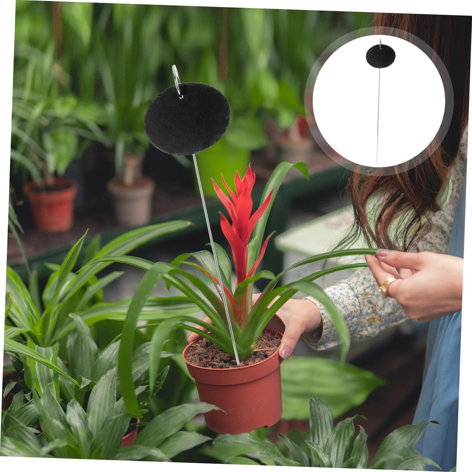 BESPORTBLE 10pezzi Etichette Per Piante e Inossidabile Tag Identificativi Per Giardino e Piante Vaso Facili Da Scrivere e Portatili Per Giardinaggio