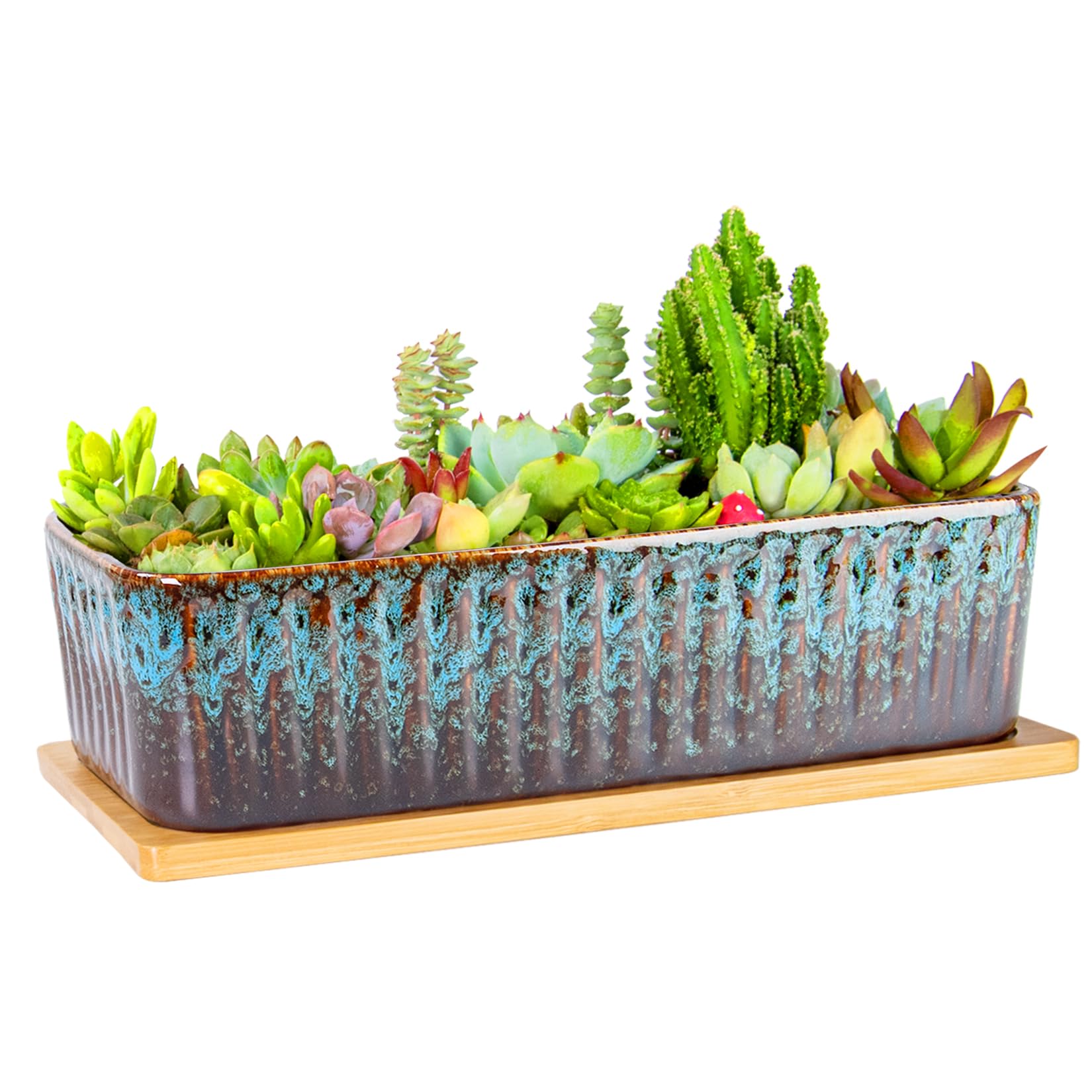 Succulent Pots - 12 Inch Large Succulent Planters with Drainage Tray