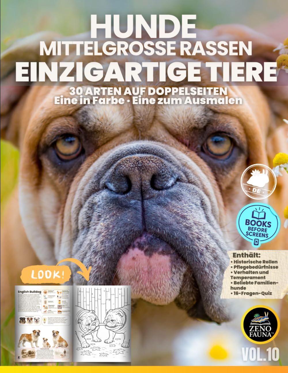 Hunde – Mittelgroße Rassen – Einzigartige Tiere: 30 Arten auf Doppelseiten – Eine Seite in Farbe, eine zum Ausmalen