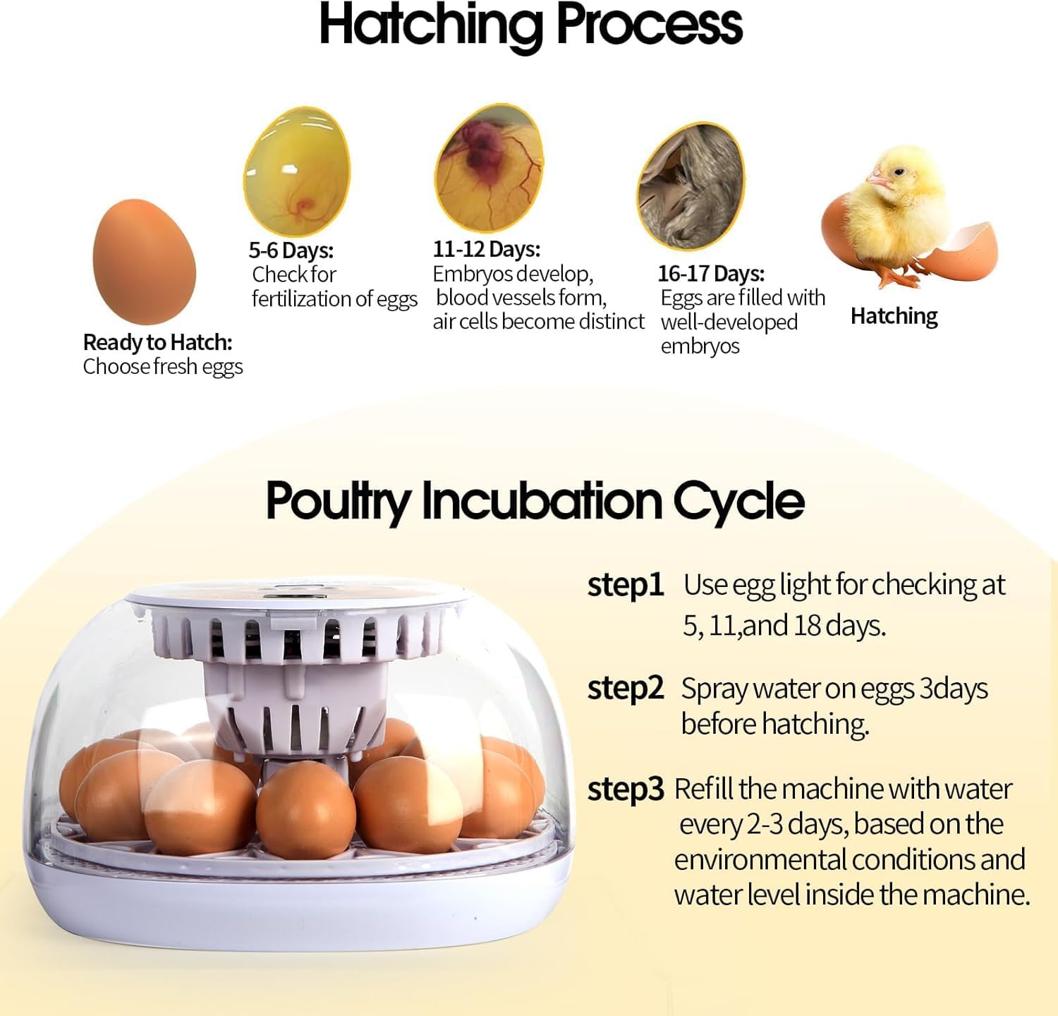 Egg Incubator, 12 Egg Capacity, Automatic Egg Turner, 360° Viewing, Temperature and Humidity Control, for Chicken, Duck, and Quail Eggs