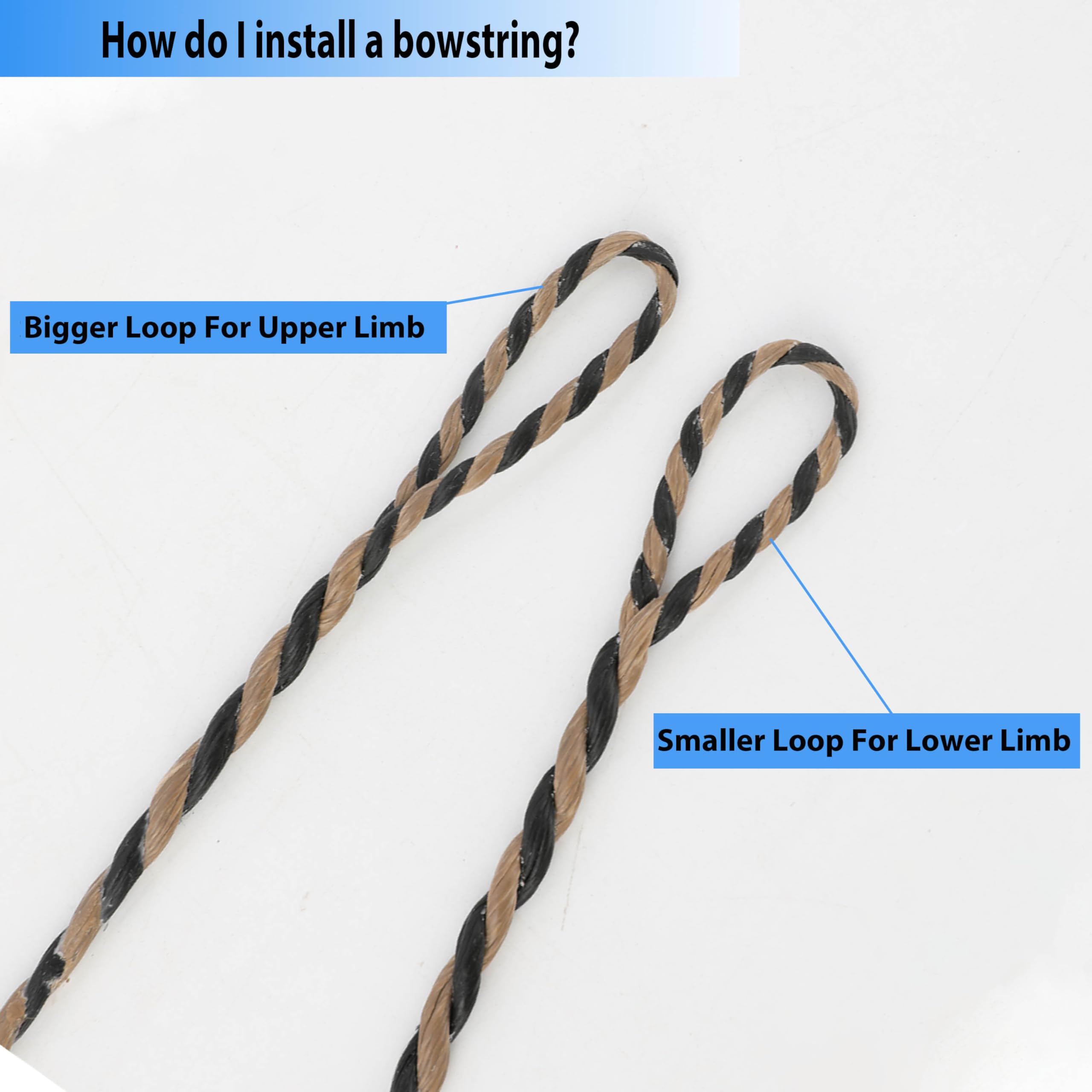 Corde à Arc Flemish Twist 42-66" 12/14/16 brins pour Arcs Traditionnels Recourbés