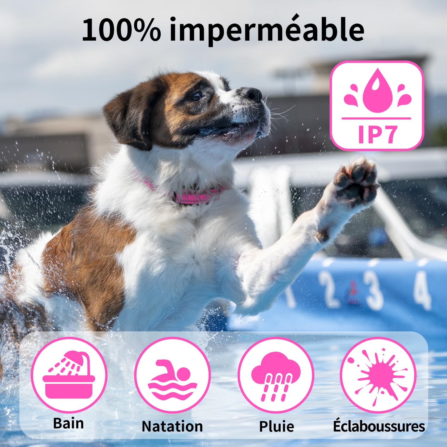 Collier de Dressage Pour Chien sans Choc - Collier Vibrant Pour Chien, Portée 1000m, 9 tonnellate e modalità di vibrazione, Pour Chiens Petit, Moyen et Grand - senza Douleur