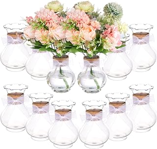 12 Pcs 5.7" Plastic Vases for Centerpieces Clear Flower Bud Vases with Hemp Rope White Ribbon Deco Hyacinth Avocado Growing Plant Containers Bud Vase Bulk for Rustic Wedding Table Decor