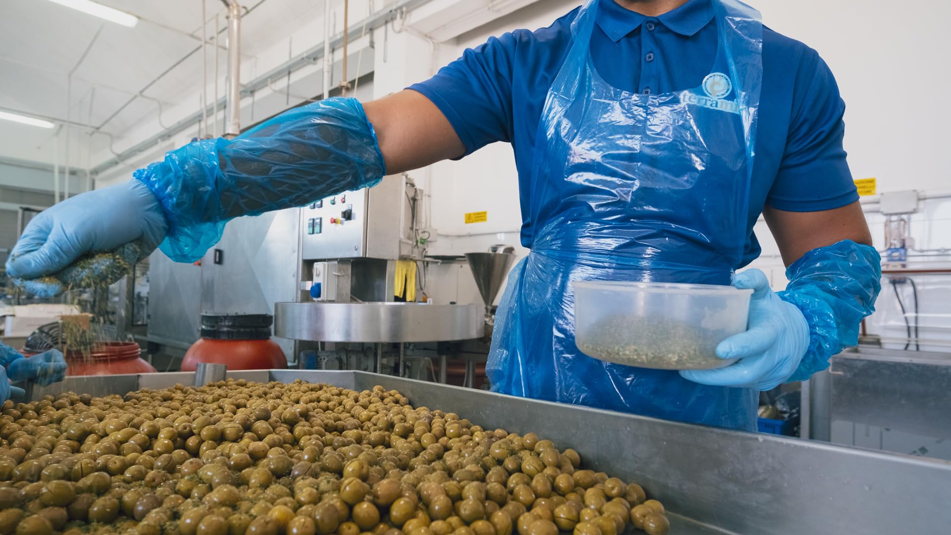 Terramia Olive Verdi di Sicilia "Nocellara" al Naturale in Olio EVO – Prodotto Artigianale da Azienda Premiata Ercole Olivario e Monna Oliva, Formato Scorta 2kg (4 Buste x 500g)