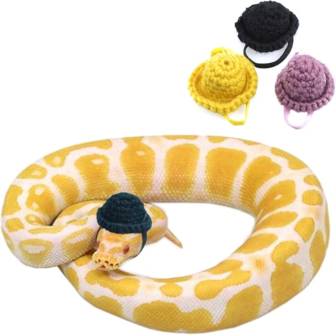 Amazon.com: 3 Pack Snake Hats with Adjustable Elastic Chin Strap for ...