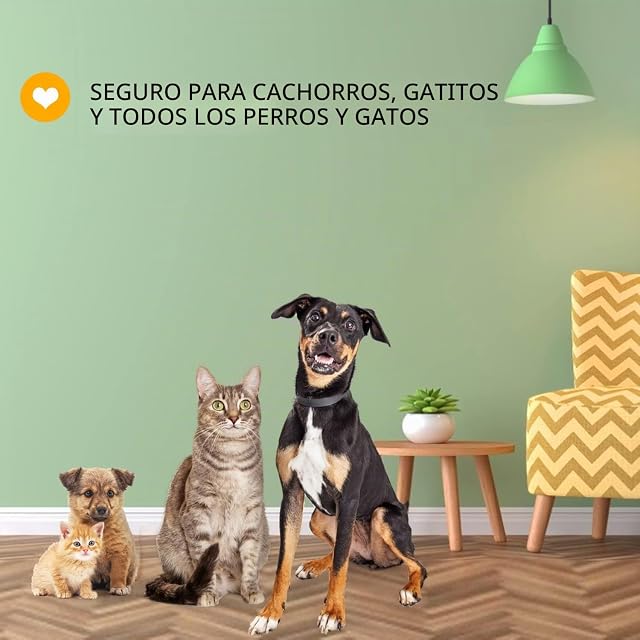 Foto 8 de 8 de Nobleza Champú para Perros y Gatos, Champú Perro con Ingrediente Natural, Champú de Piel Sensible para Perros
