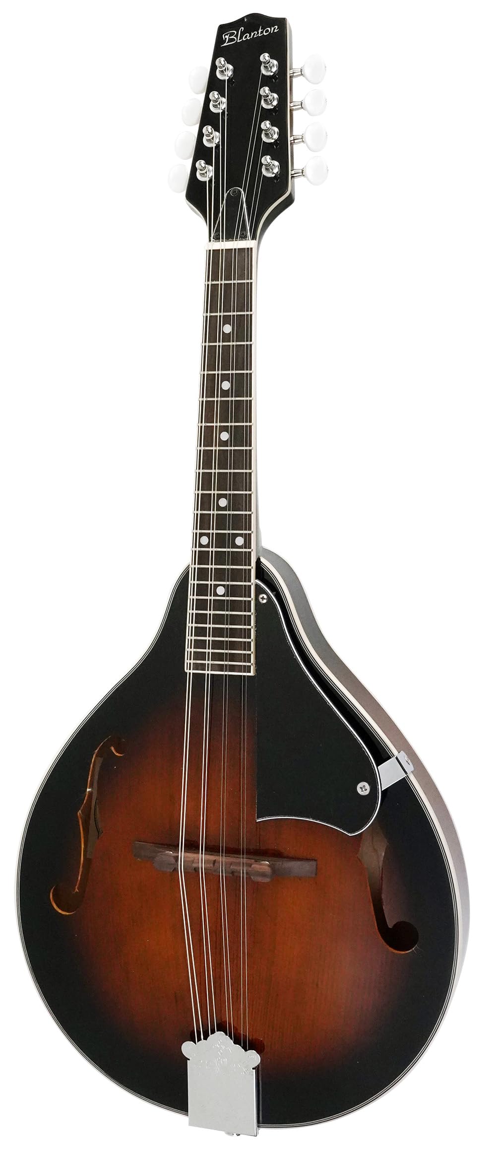 Amazon.co.jp: Blanton フラットマンドリン Aモデル ソリッドトップ