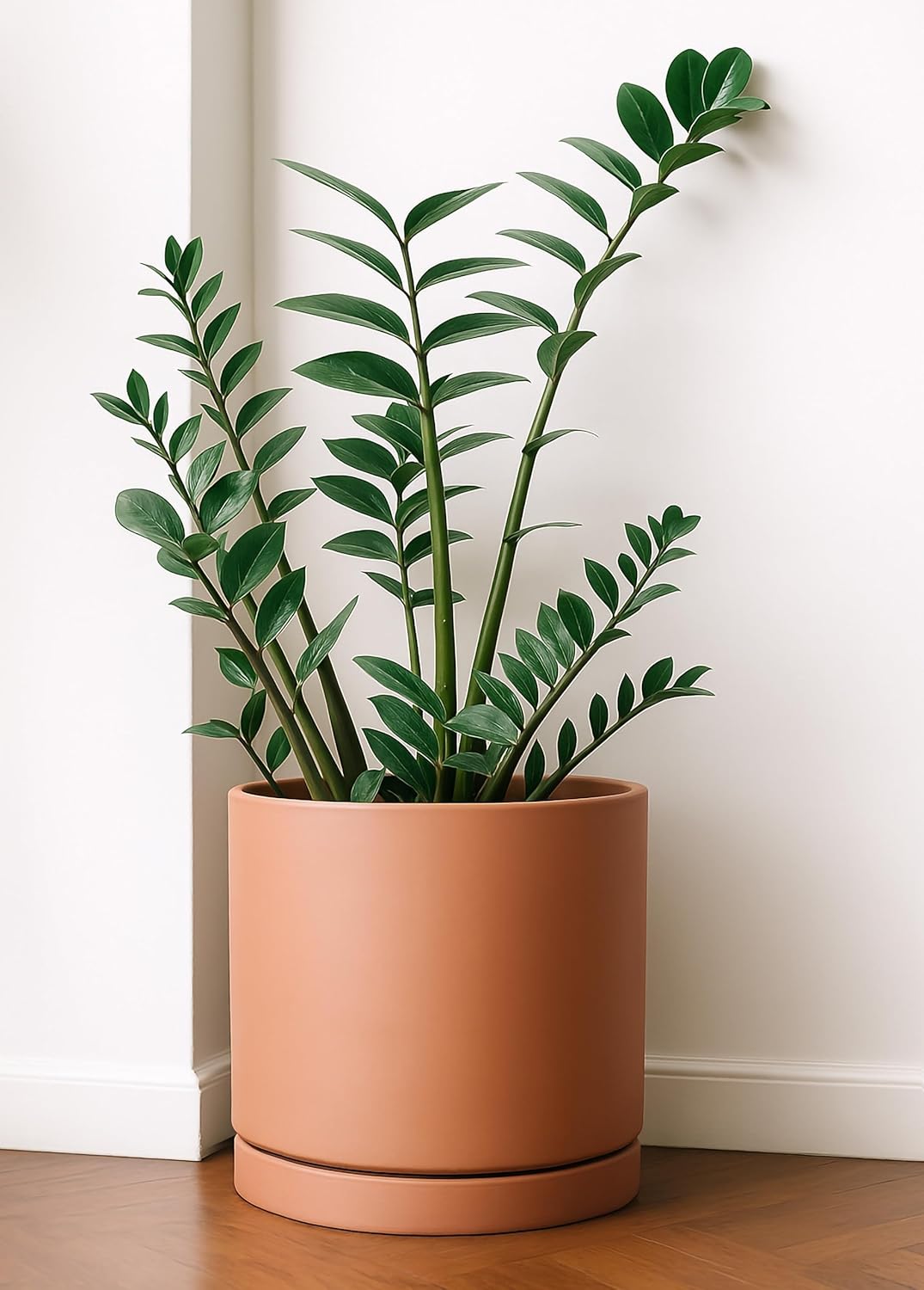 D'vine Dev Large 10 Inch Terracotta Plant Pot with Drainage Hole and Saucer, Round Cylinder Planter Pot for Indoor Plants, 40-X-A-5 1 Large 10 Inch