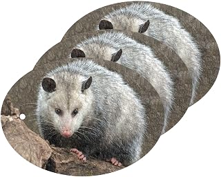 Dish Sponges Kitchen Cute Opossum Possum Scrub Sponge Non Scratch Reusable Compressed Cellulose Sponge Hanging for Household Cleaning Washing Dishes Pots and Pans 3 Pack