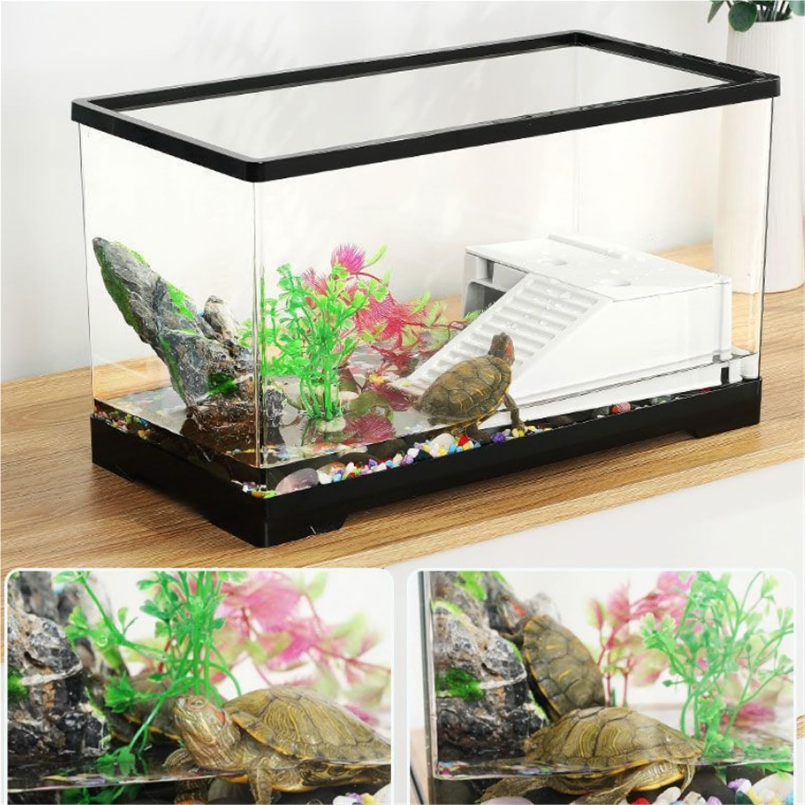 Siedlisko terrarium Domowa skrzynka do karmienia żółwi z separacją na mokro i platformą suszenia słońcu Terrarium akwariowe