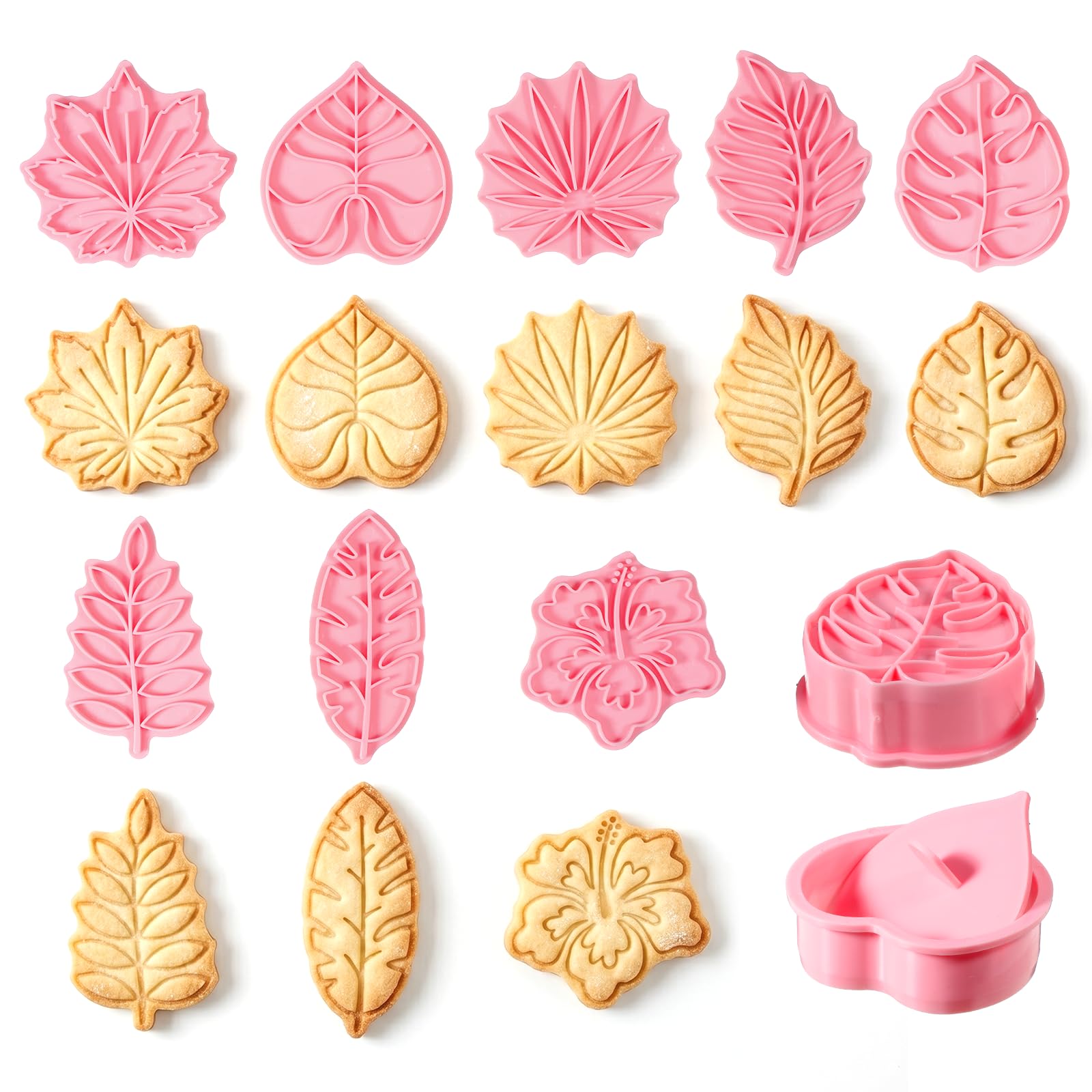 Muiltvoe 8 Pcs Leaf Cookie Cutters, 3D Monstera Leafage Cookie Stamps Summer Biscuit Cutters Molds for Cupcake Pancake Pie Pastry Fruit Sandwich