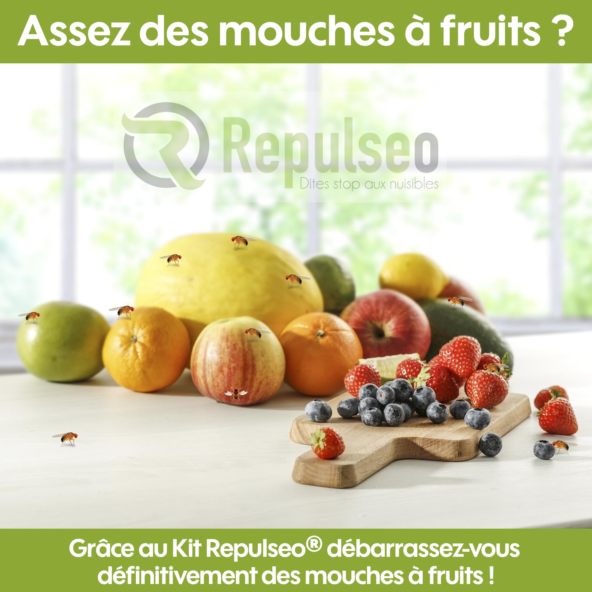 Piège à Mouches des Fruits ✯Made in UE✯, Anti Moucherons Intérieur, Attrape Moucherons Cuisine, Piege Moucherons et Mouchettes Fruits intérieur [Remède Naturel et sans Insecticide]