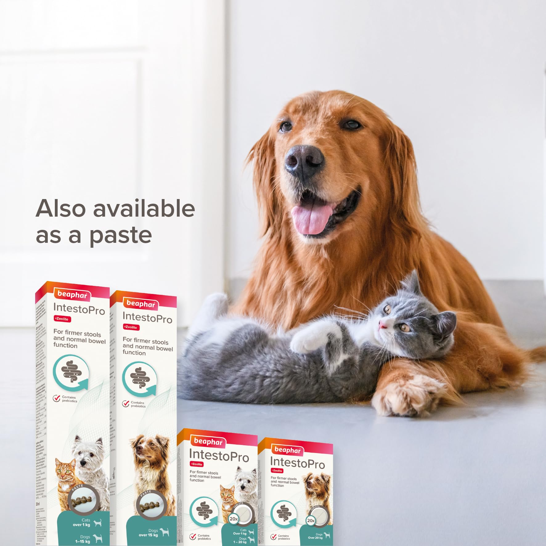 Beaphar Intestopro Anti Diarrhea Tablet for Small Dogs and Cats 20 TABLETS