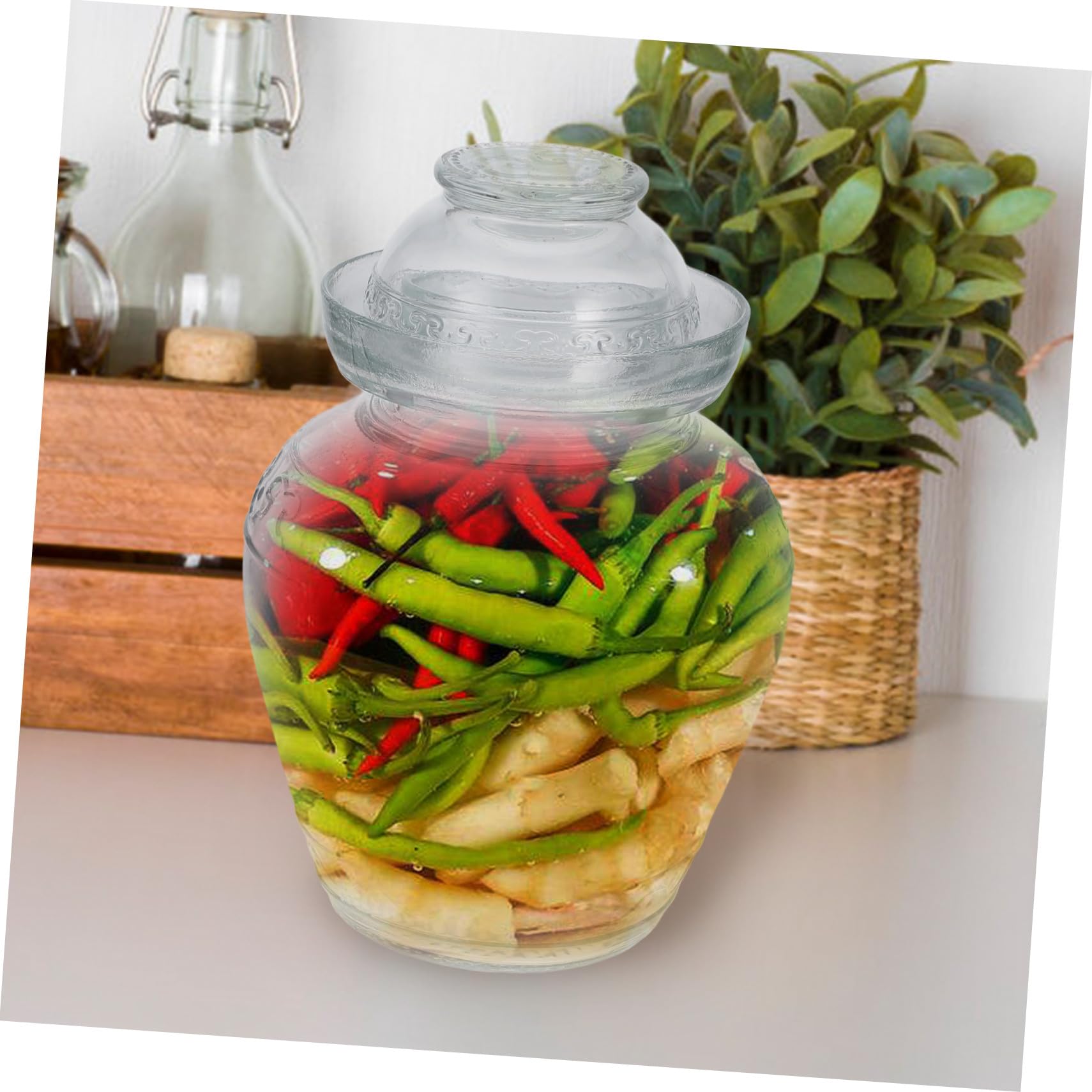 Gatuida Gurkenglas aus Glas, Transparent, für Lebensmittel, Küche | Großes Fassungsvermögen, Lebensmittelversiegelt, Schlichtes Modernes Design