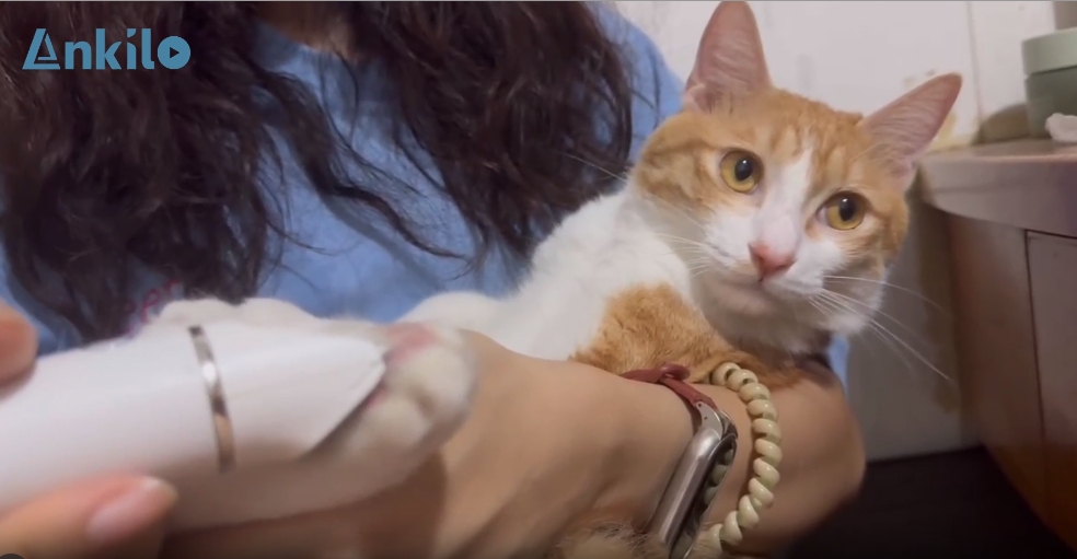 Ankilo Keramik-Pfotentrimmer Für Hunde - USB Ladung, IPX7 Wasserdicht, Leise