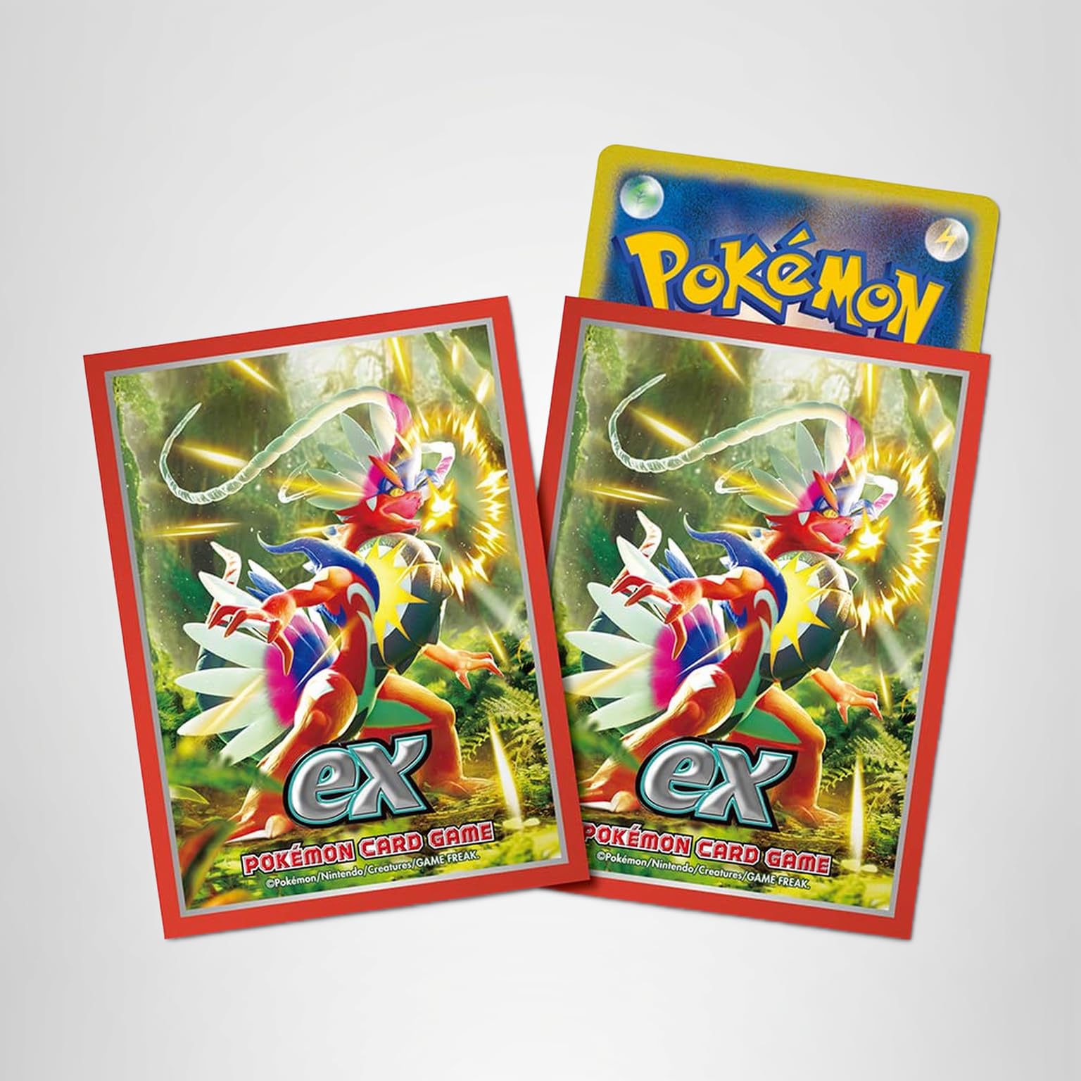 Amazon | ポケモンカードゲーム デッキシールド コライドン | トレカ 通販