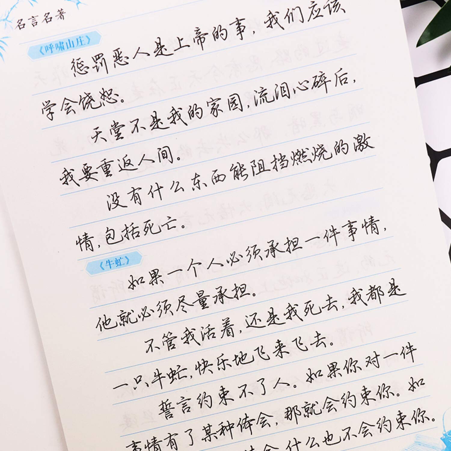 墨点字帖 行楷字帖男生女生名言名著荆霄鹏临摹字帖京东自营版 Books Amazon Ca