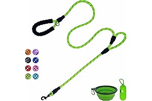 Rugged Dog Leash with Supreme Comfort Padded Handle