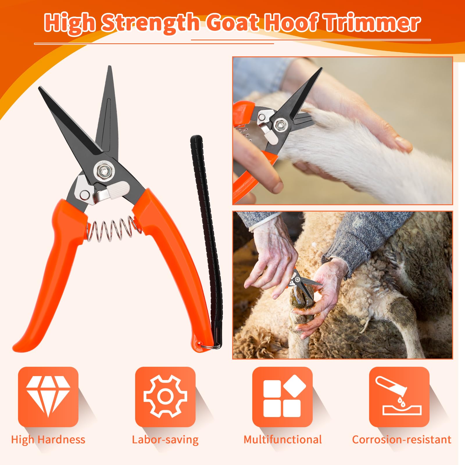 Goat Hoof Trimmer Kit - Sheep & Goat Hoof File -6 Goat Hoof Trimmer Kit - Sheep & Goat Hoof File -6