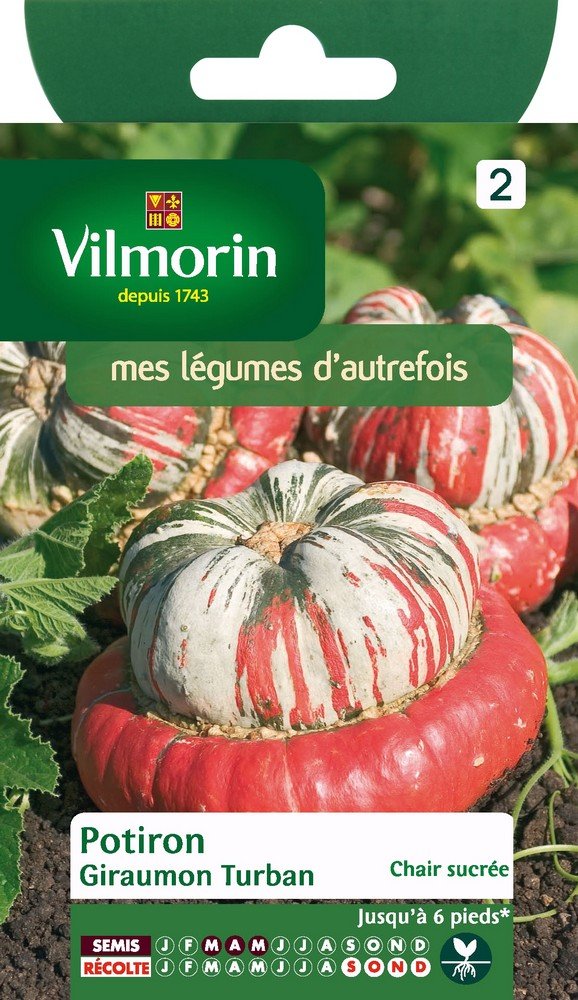 Vilmorin Kürbissamen – Samen Für Kürbispflanzen, Sonnenliebend, Für Gemüsegarten